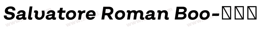 Salvatore Roman Boo字体转换